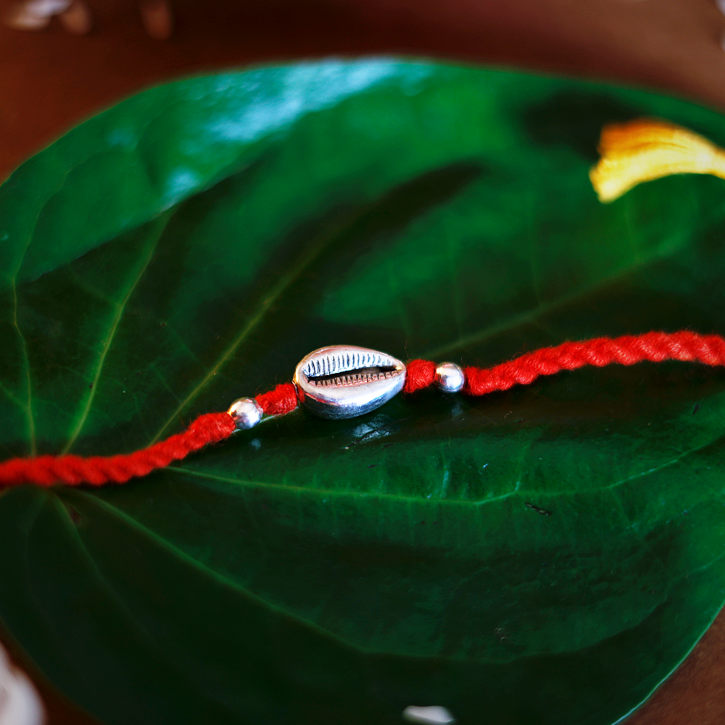 Silver Cowrie Rakhi