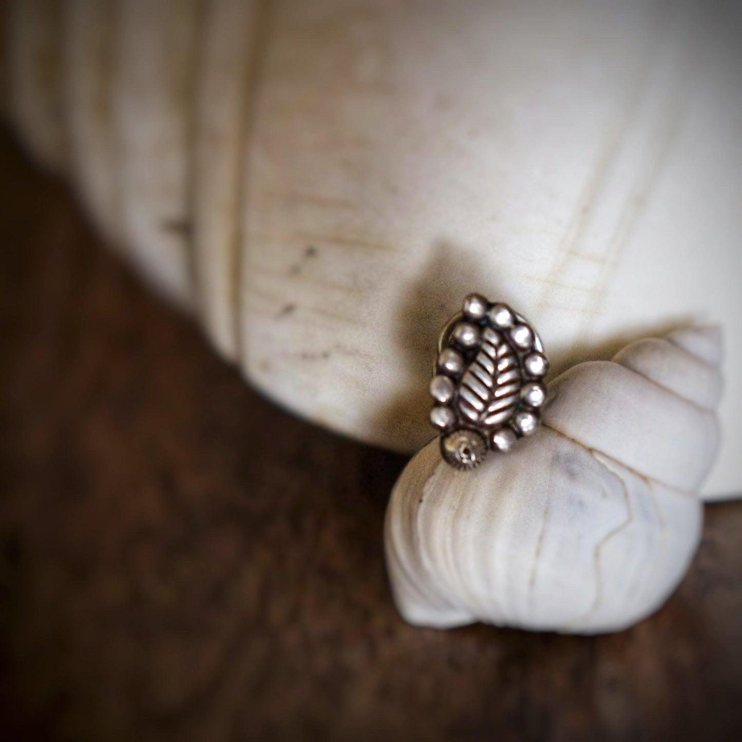 Ambi Nose Pin (wire or Clip-on) - Smith Jewels