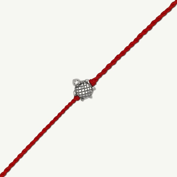 Turtle Raki Tortoise Rakhi | 925 Silver – Smith Jewels