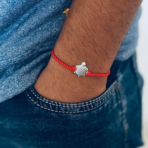Silver Turtle Rakhi